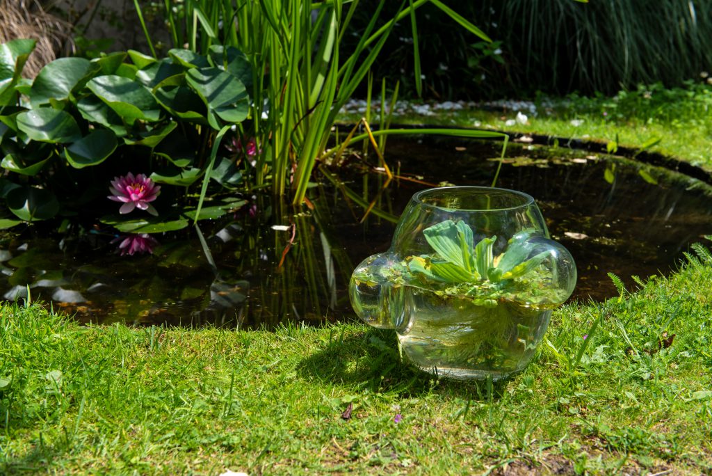 Weltevree Local Habitat - Afbeelding 5