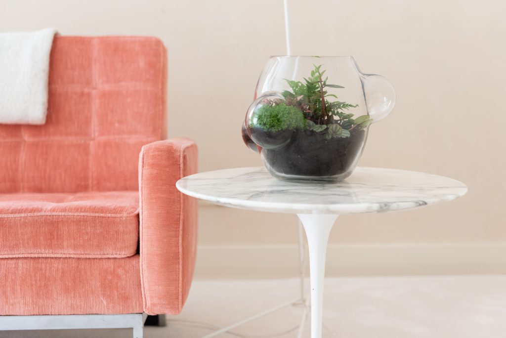 Weltevree Local Habitat - Afbeelding 4