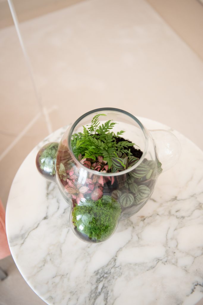 Weltevree Local Habitat - Afbeelding 3