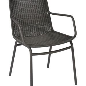 Max en Luuk Armstoel Roy