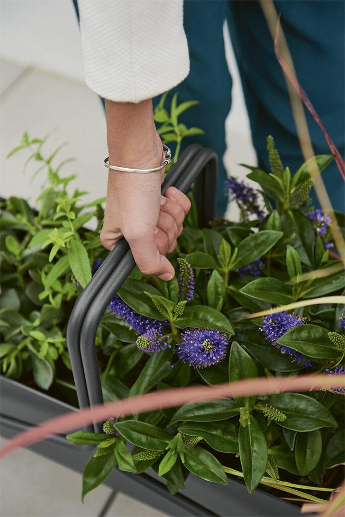 Fermob Basket Lage Bloembak - Afbeelding 5
