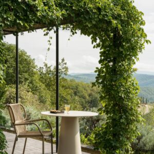 Vincent Sheppard Ribbon Dining Chair