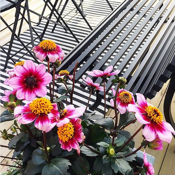 Fermob Louisiane Bank 200 cm